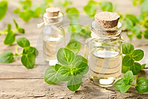 Oregano oil and fresh oregano leaves on the wooden table