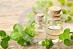 Oregano oil and fresh oregano leaves on the wooden table