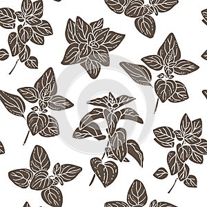 Oregano pattern