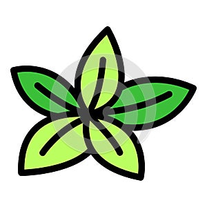 Oregano plant icon vector flat