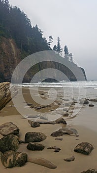 Oregon beach near clif