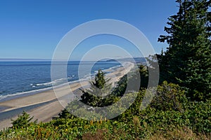 Oregon Coast at Cape Lookout State Park