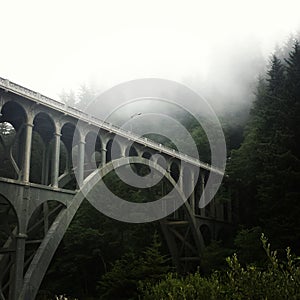 Oregon Coast Foggy Day