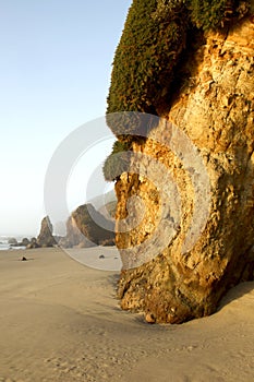 Oregon coast portrait