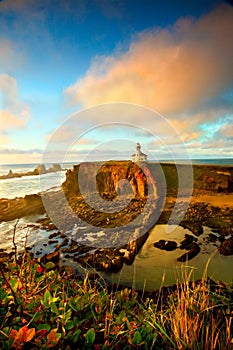 Oregon coast portrait