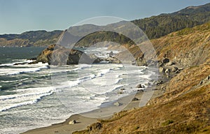 Oregon coast portraits