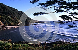 Oregon coast portraits