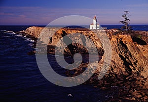 Oregon coast portraits