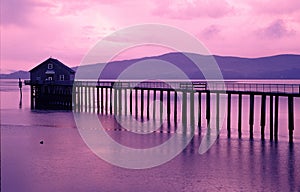 Oregon coast portraits