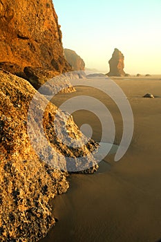 Oregon coast portraits