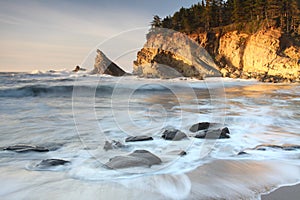 Oregon coast portraits