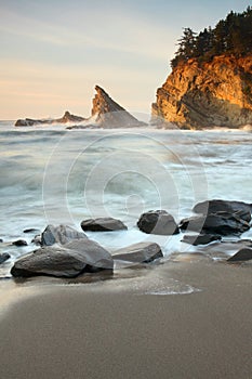 Oregon coast portraits