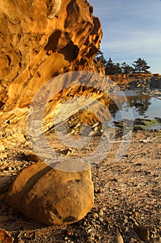 Oregon coast portraits