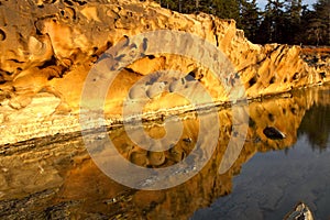 Oregon coast portraits