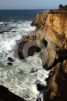 Oregon coast portraits