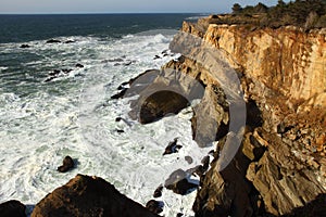 Oregon coast portraits