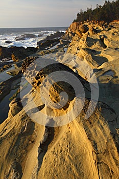 Oregon coast portraits