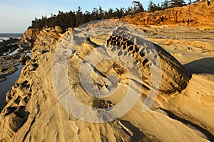 Oregon coast portraits