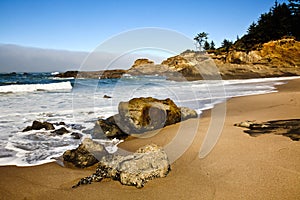 Oregon coast potrait