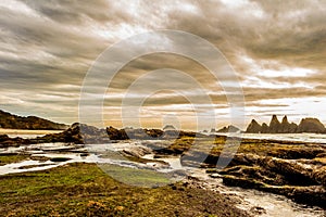 Oregon Coast Rocky Landscape