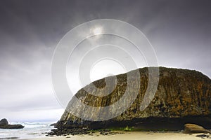 Copyspace Seal Rock under overcast sky