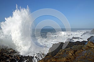 Oregon Coast, Shore Acres Park