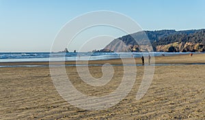 Oregon Coast Shoreline Landscape 3
