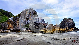 Oregon Coast Tranquility