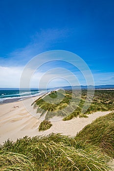 Oregon Coastal Landscape