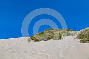 Oregon Coastal Landscape