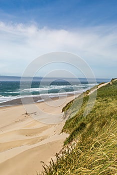 Oregon Coastal Landscape