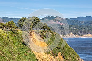 Oregon Coastal Landscape