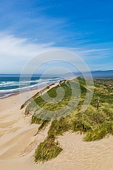 Oregon Coastal Landscape