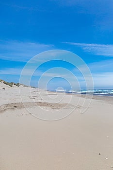 Oregon Coastal Landscape