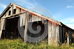 Oregon country portraits