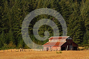 Oregon country portraits