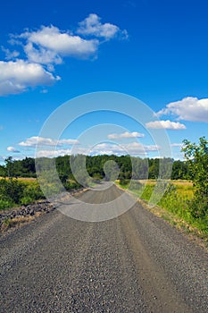 Oregon Country Road