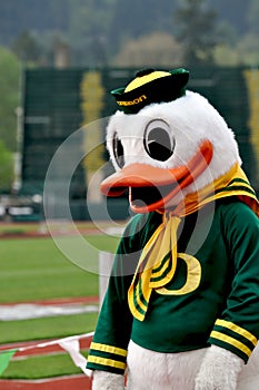 Oregon Duck