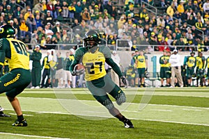 Oregon Ducks Football at Autzen Stadium