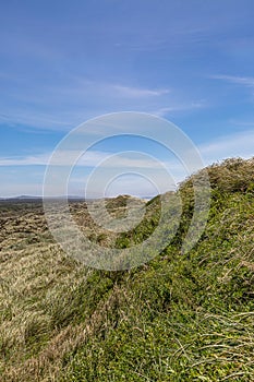 Oregon Dunes National Recreation Area