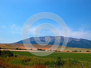 Oregon Farm Field