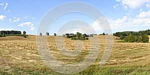 Oregon Grown Ryegrass Harvest in the Mid-Willamette Valley, Marion County photo