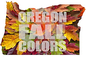 Oregon Maple Leaves Mixed Fall Colors Text USA