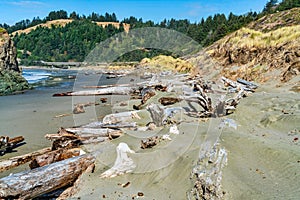 Oregon Meyers Creek Beach 10