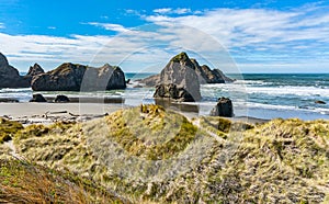 Oregon Meyers Creek Beach 3