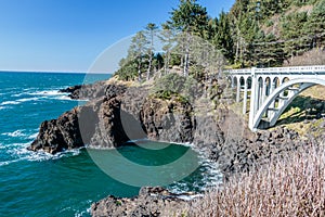 Oregon Pacific Ocean Coastline Off Hyw 101