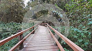 Oregon River Parks Bridges