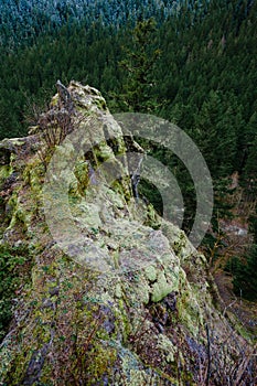 Oregon Rock Outcropping in Forest