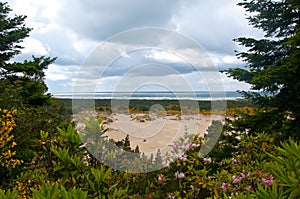 Oregon sand dunes