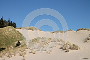 Oregon sand dunes